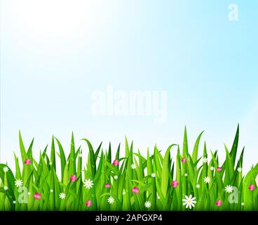 Nature background with green grass and flowers. Vector illustration Stock Vector