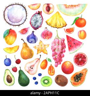Plum fruits set. Watercolor hand drawn illustration, isolated on white ...