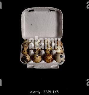 One dozen unwashed quail eggs in open carton isolated on black background, top view Stock Photo