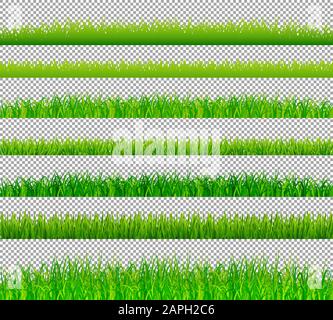 Green grass border on transparent vector background. Spring or summer ...