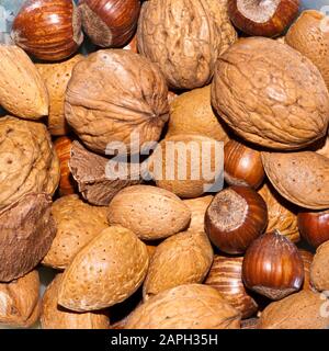 Mixed Nuts Hazelnuts Almonds Brazil Nuts and Walnuts Stock Photo