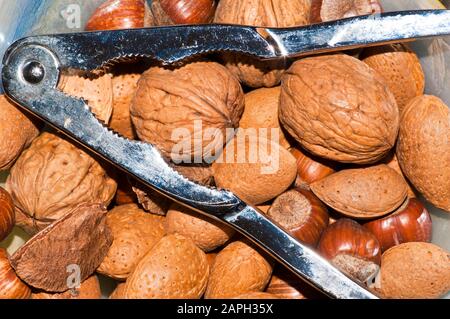 Mixed Nuts Hazelnuts Almonds Brazil Nuts and Walnuts with a metal nutcracker Stock Photo