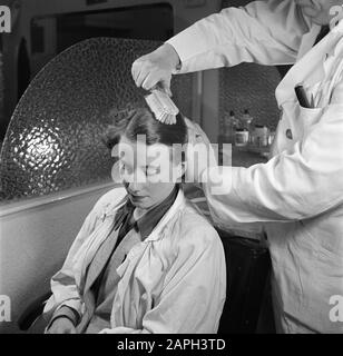 women's hair salons, customers, barberchairs, perm, brushing, EFA-Lock Date: November 1950 Keywords: brushing, women's hairdressing salons, hairdressing chairs, customers, perm person name: EFA- Lock Stock Photo