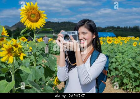 Asian young woman visit sunflower field. Stock Photo