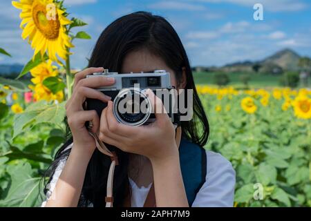 Asian young woman visit sunflower field. Stock Photo