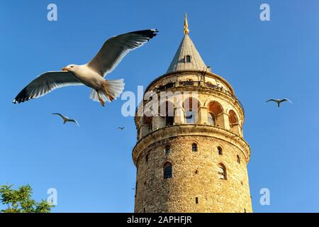 Galata Tower, Istanbul, Turkey Stock Photo