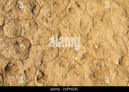 View from above on the structure of dried sand at deadvlei, Namib desert, Namibia Stock Photo