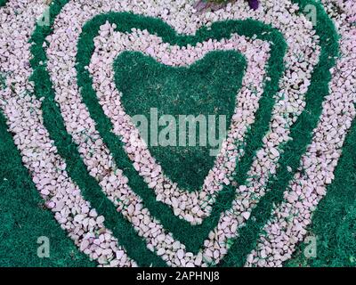 Top view  of heart shape white stones on the grass for landscape design. Backdrop for Valentine’s day or romantic background for wedding post card or Stock Photo