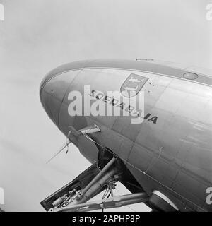 Corporate style and emblems KLM Description: The name lettering of the four-engine KLM Lockheed Constellation passenger aircraft 'Surabaya' registration number PH-TFG at Schiphol Airport Date: August 1951 Location: Noord-Holland, Schiphol Keywords: emblems, logos, airplanes Personal name: Surabaya Stock Photo