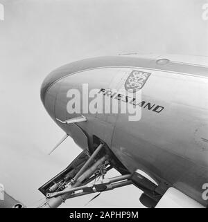 Corporate style and emblems KLM Description: The name lettering of the four-engine KLM Lockheed Constellation passenger aircraft 'Friesland' registration number PH-LDS at Schiphol Airport Date: August 1951 Location: Noord-Holland, Schiphol Keywords: emblems, logos, airplanes Personal name: Friesland Stock Photo