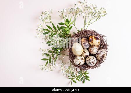 Quail eggs lie in a decorative nest. Around a branch with green leaves and white small flowers. Light pastel background. The concept of spring, easter Stock Photo