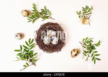 Quail eggs are in decorative nest and next to it. Around branch with green leaves. Light pastel background. Concept of spring, easter. Minimalism, fla Stock Photo