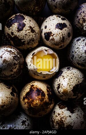 Quail eggs, one opened, the rest whole. Dark background, burlap. View from above. The concept of organic natural products, protein food. Stock Photo
