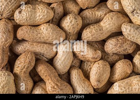 Close-up of peanuts / groundnuts / goobers / monkey nuts in their shells as winter bird food for garden birds Stock Photo