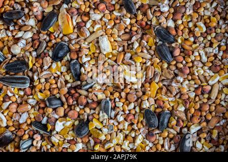 A pile of birds food: Mixture of grains and seeds for parrots, in a ...