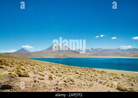 Laguna Miscanti and Volcano Miscanti at 14,000 feet on the Chilean Altiplano, Atacama Desert, Chile Stock Photo