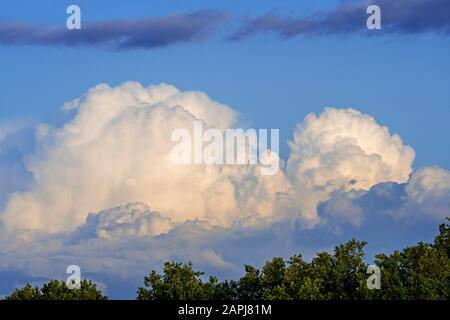 Developping Cumulus congestus clouds also known as towering cumulus cloud Stock Photo