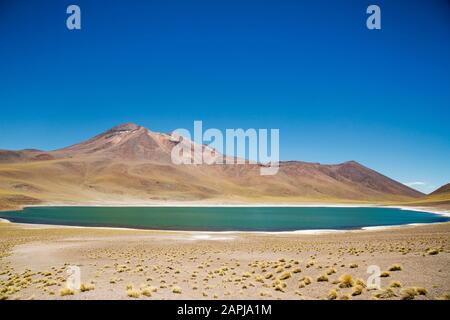 Laguna Miscanti and Volcano Miscanti at 14,000 feet on the Chilean Altiplano, Atacama Desert, Chile Stock Photo