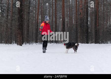 young woman plays frisbee with a dog in a winter forest during a snowfall Stock Photo