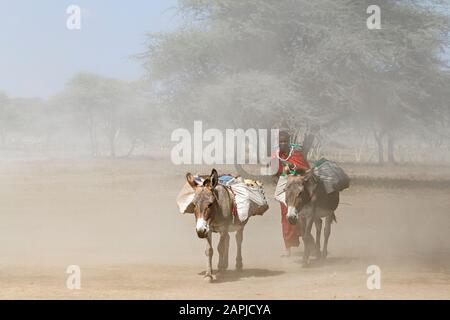 Maasai village in Tanzania Stock Photo