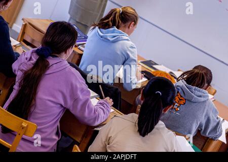 Pupils in classroom from behind Stock Photo