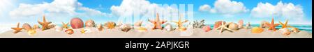 Seashells and starfish smartly arranged in a long row on the sandy beach, nice sky background, panoramic banner format Stock Photo