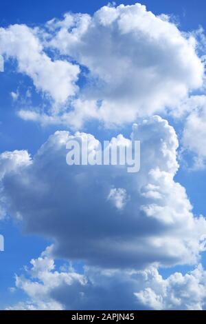 White and grey cumulus clouds on blue sunny sky Stock Photo