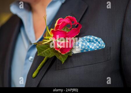 Colorful Pink orchid as a boutonniere in a Dark Groom Suit Stock Photo