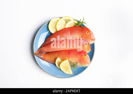 Beautiful tropical red sea fish Pearly razorfish on a blue background. Galan fish Xyrichtys novacula, seafood from Mediterranean Sea. Fish pattern wit Stock Photo