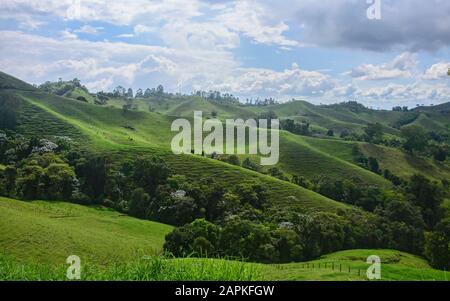 Lush green landscape in the Caretera 'coffee zone' Filandia, Colombia Stock Photo