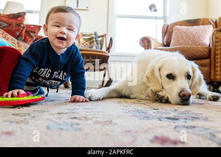 Crawling seven month old baby boy with platinum colored Golden Retriever dog Stock Photo
