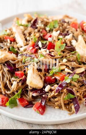 Homemade Spicy Chicken Soba Noodle Salad on a gray plate, low angle view. Closeup. Stock Photo