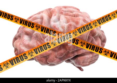 Brain viruses concept, 3D rendering isolated on white background Stock Photo