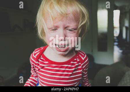 Portrait of crying toddler girl Stock Photo