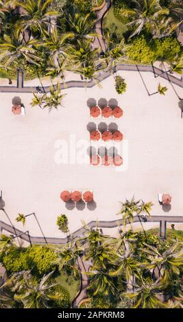 Indonesia, Bali, Aerial view of umbrellas and palms on beach Stock Photo