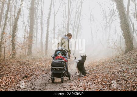 Mother with children and border collie during forest walk in autumn Stock Photo