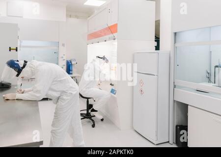 Two scientists working in laboratory Stock Photo