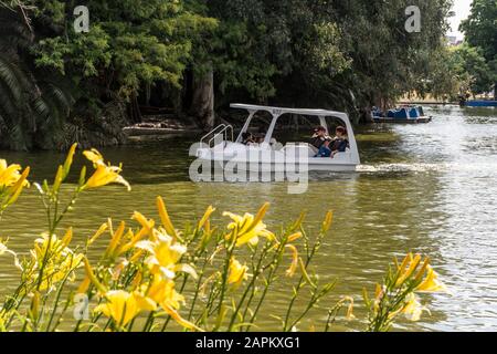 View to paddle boats on lake in urban park, Bosques de Palermo, Buenos Aires, Argentina Stock Photo