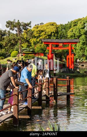 Beautiful view to red gate and bridge over lake in Japanese Gardens park in Palermo, Buenos Aires, Argentina Stock Photo