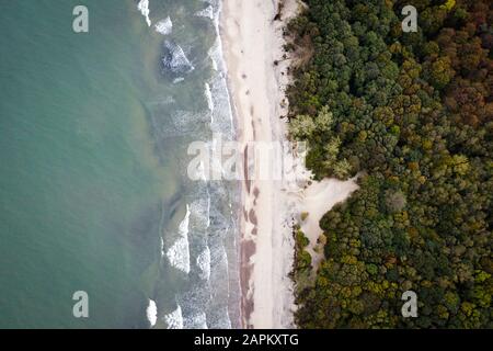 Russia, Kaliningrad Oblast, Zelenogradsk, Aerial view of forested coastline of Baltic Sea Stock Photo