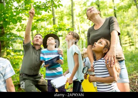 School children exploring the forest, teacher pointing up Stock Photo