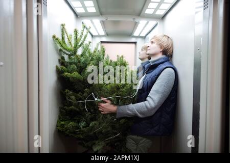 Young man with fir tree in the elevator Stock Photo