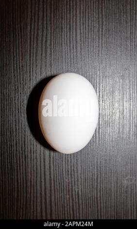 Egg on black grainy background Stock Photo