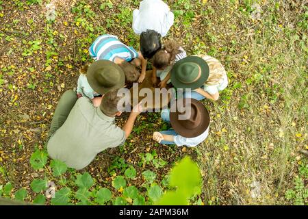 Tree Trunks Kids School children examining annual rings of a tree trunk Stock Photo - Alamy