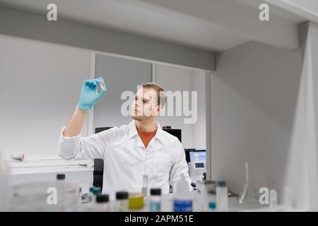 Scientist analyzing a specimen in laboratory Stock Photo