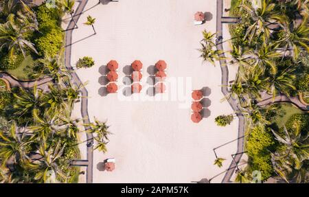 Indonesia, Bali, Aerial view of umbrellas and palms on beach Stock Photo