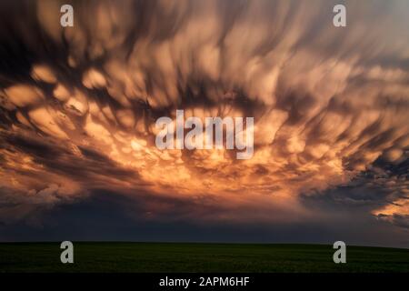 Scenic landscape with dramatic mammatus clouds in the sky behind a thunderstorm at sunset near Limon, Colorado Stock Photo