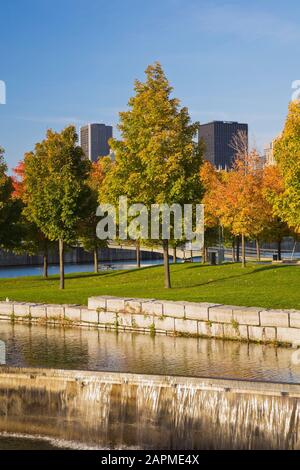 Green, orange and yellow Acer - Maple trees and man-made cascading waterfall in public park in autumn, Bonsecours Basin, Old Port of Montreal, Quebec Stock Photo