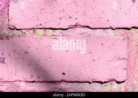 Fragment of an old brick wall painted pink paint with a shadow from tree branches on a sunny day. Abstract background Stock Photo