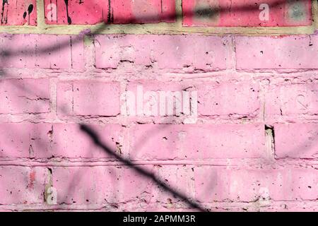 Fragment of an old brick wall painted pink paint with a shadow from tree branches on a sunny day. Abstract background Stock Photo
